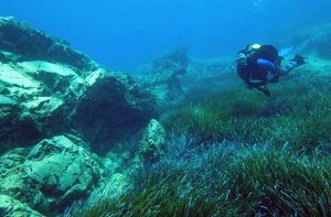 Aquatic Dive Centre - Cape Greco dive